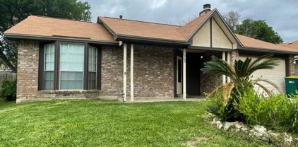 7903 Forest Cabin, Live Oak