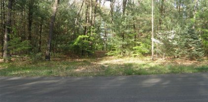 Wildwood Drive Unit 10, Allegan