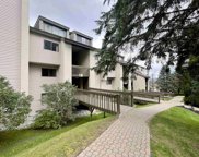 203 Old Mill Road Unit #B-12, Killington image