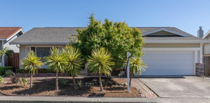 1539 Griffin Way, Rohnert Park
