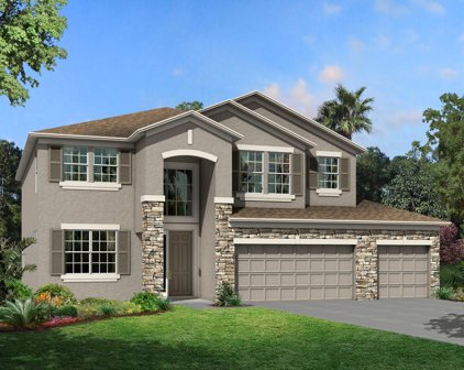 2933 Marine Grass Drive, Wimauma