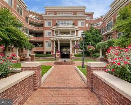 66 Franklin St Unit #406, Annapolis