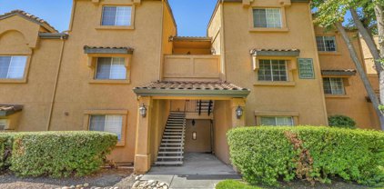 795 Watson Canyon Ct Unit #254, San Ramon