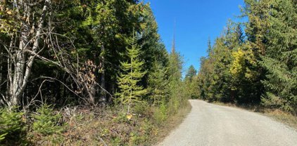 NNA Harlans Trail, Sagle