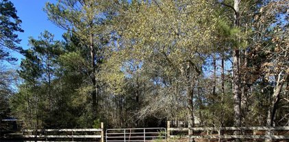 26216 Whispering Pines, Magnolia