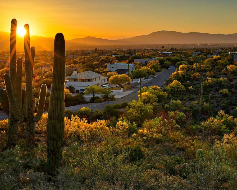 Search Phoenix View Real Estate
