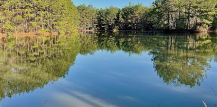19111 Old Houston Road, Conroe