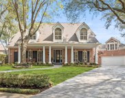 17 Shetland Isle Court, Sugar Land image