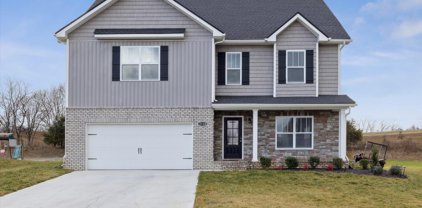 2130 Tributary Drive, Sevierville