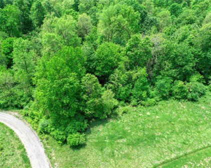 63600 Wintergreen Road, Lore City