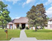 10318 Gold Point Drive, Houston image