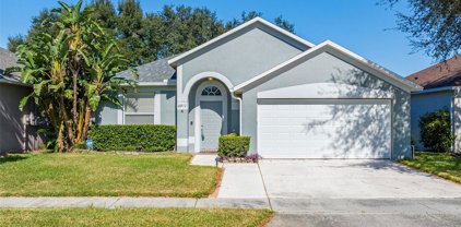 22829 Marsh Wren Drive, Land O' Lakes