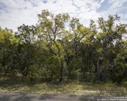 TBD Shannon Lee, New Braunfels image