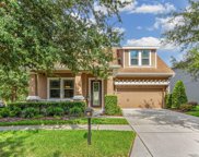 4909 Oakline View Drive, Lithia image