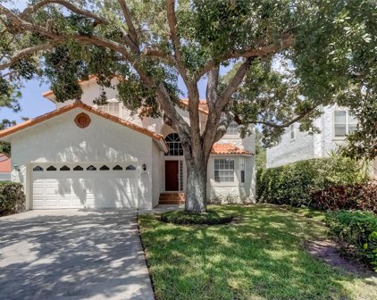 2953 La Concha Drive, Clearwater