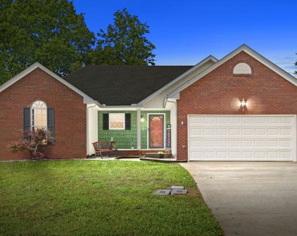 1173 Connemara Way, Clarksville