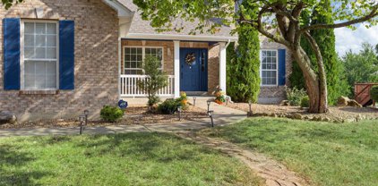 22 Fiddlers  Drive, O'Fallon