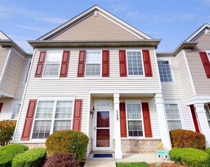 529 Cannon Ball Drive, Grayslake