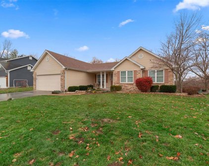 679 Napa  Lane, St Charles