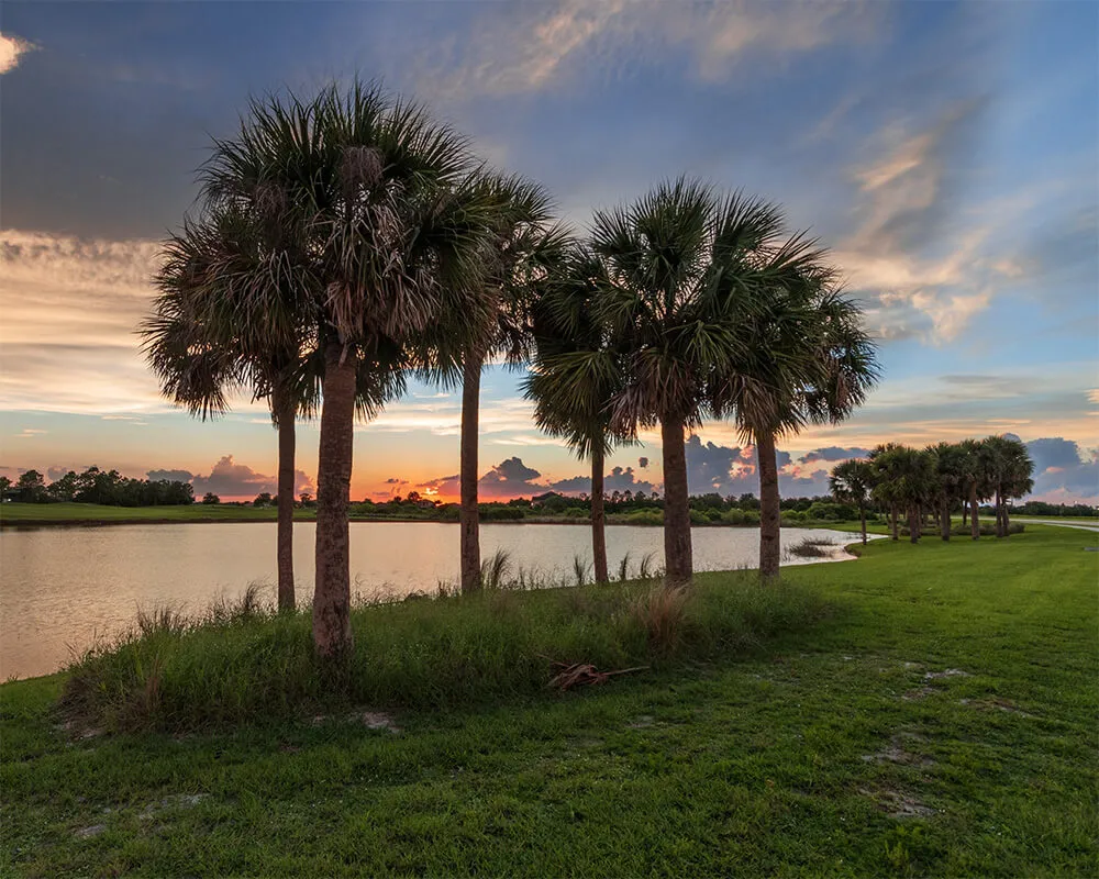 Viera Real Estate