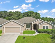 707 Bradley Way, Fruitland Park image