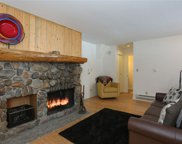 1937 Soda Ridge  Road Unit 1120, Keystone image
