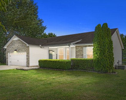 726 Tylertown Rd, Clarksville