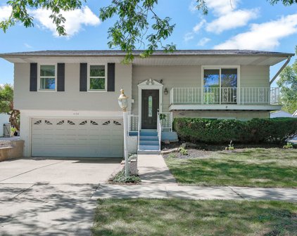 458 White Pine Road, Buffalo Grove
