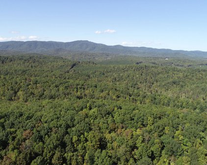 Trout Run  Dr, Woolwine