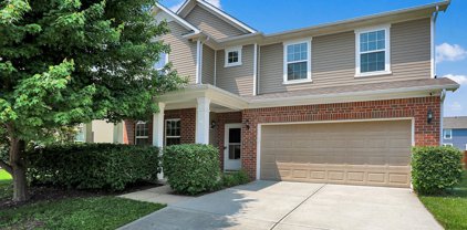 2336 Boneset Drive, Plainfield