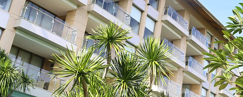 Kauai Condominium Real Estate