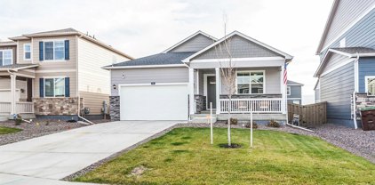 809 Elias Tarn Drive, Severance