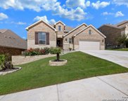 25831 Warbler View, San Antonio image