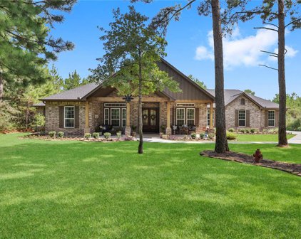 13015 Shady Woods Court, Montgomery