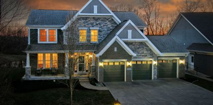 12462 Hidden Spring Cove, Fishers