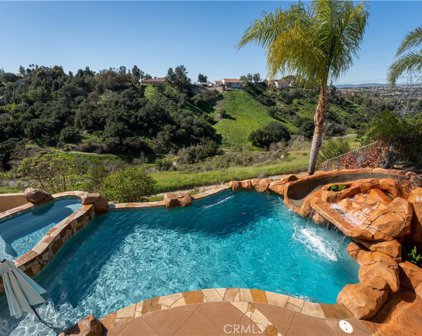 807 S Canyon Mist Lane, Anaheim Hills