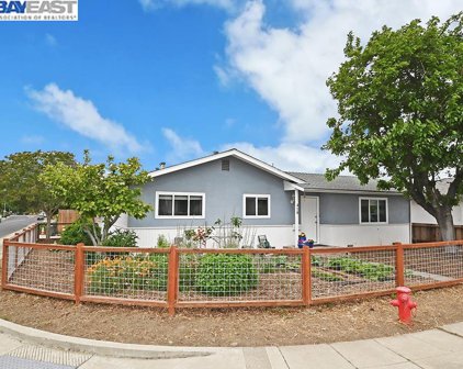 410 Falcon Way, Livermore