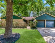 22519 Sleepygate Drive, Spring image