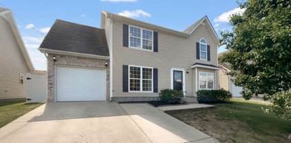 228 Mary Joe Martin Dr, La Vergne
