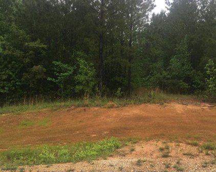 Lot 51 & 52 Lakeview Street, Abbeville