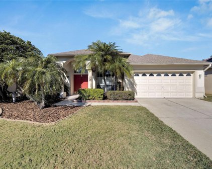 9907 Colonnade Drive, Tampa