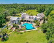 427 Pine Bluff Trail, Ormond Beach image