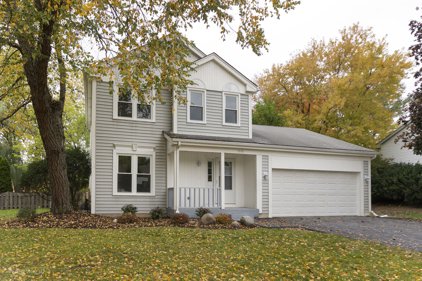 1519 W Richmond Street, Arlington Heights