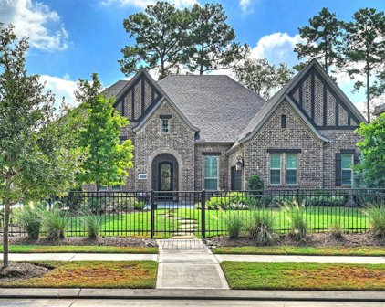 10581 Lake Palmetto Drive, Conroe