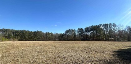 8.83 Acres Wilcox Street, Attalla