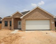 1190 Filly Creek Drive, Alvin image