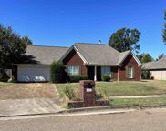 4111 Meadow Court Dr, Bartlett image