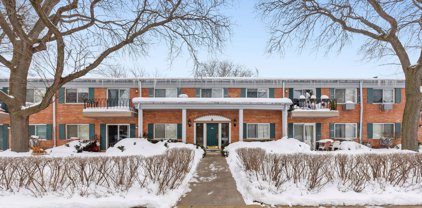 2307 S Goebbert Road Unit #110, Arlington Heights