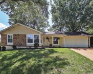 15368 Thistlebriar  Court, Chesterfield image