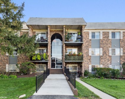 1611 Windsor Drive Unit #207, Arlington Heights